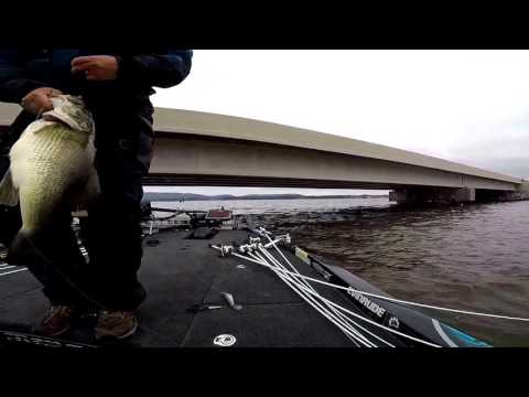 Day One - Guntersville