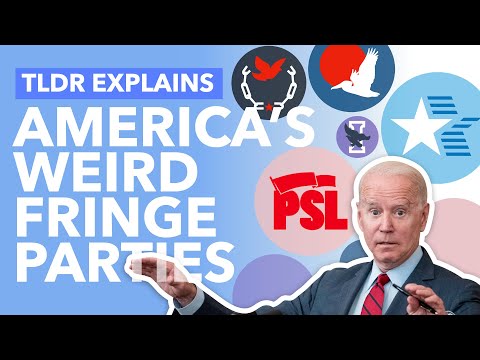 America's Weird, Small Political Parties Explained - TLDR News