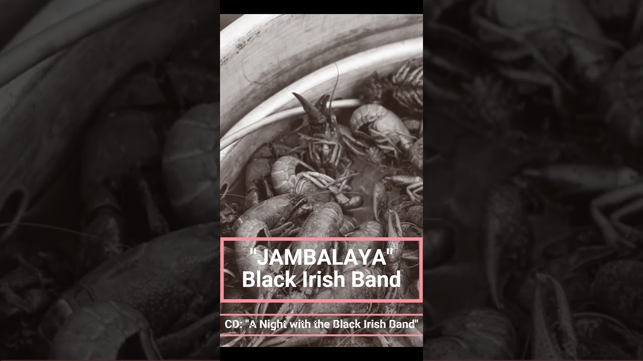 Promotional video thumbnail 5 for Black Irish Band
