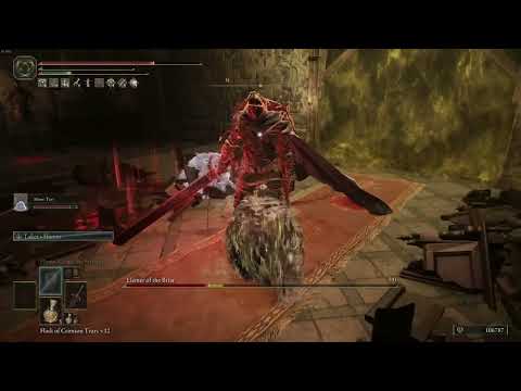 Just Some Noob Playing Elden Ring (NG+2) Elemer of the Briar