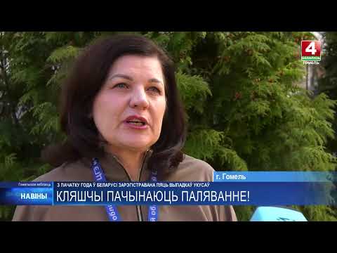 5 случаев укусов клещей зарегистрировано в Беларуси сначала 2026 года видео