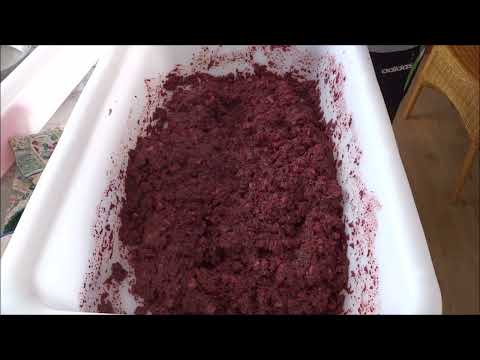 Blutwurst selber machen