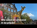 Wie worden de grote winnaars op het Nederlands Film Festival? | RTV Utrecht