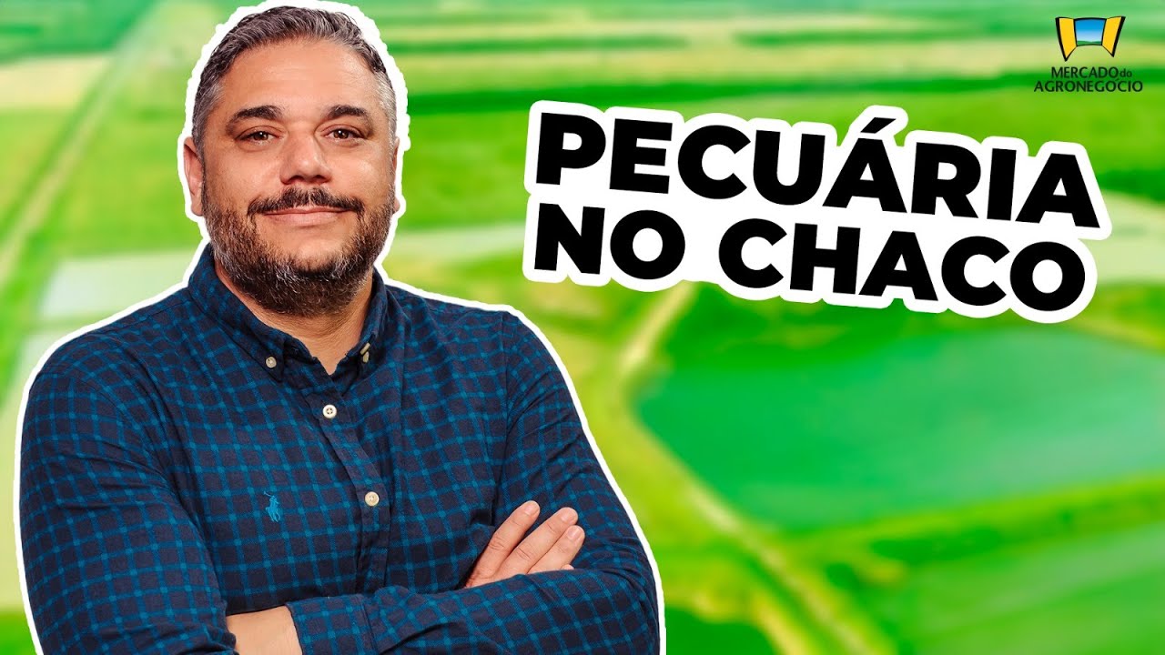 Pecuária no Chaco Paraguaio