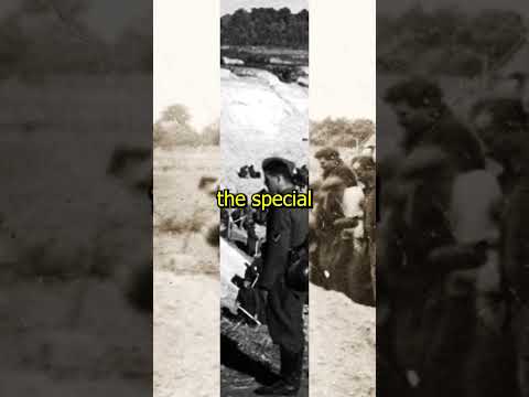 The Butcher of Prague - Reinhard Heydrich #shorts #history