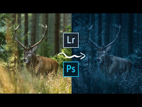 Dark Moody Look in Lightroom or Photoshop