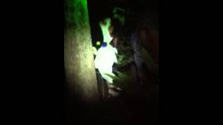 Download lagu trim E818783A 991C 4FCB 9680 7B14AC3BDAF1 mp3