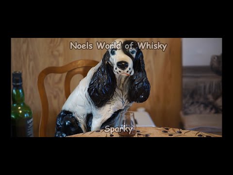 Caol ila 13 years Gordon & MacPhail bottling 'Mister Consistent'