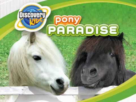 Poney Club by Alexandra Ledermann Nintendo DS