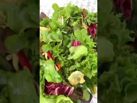 Satisfying Vegetable Salad | Fresh from the Garden