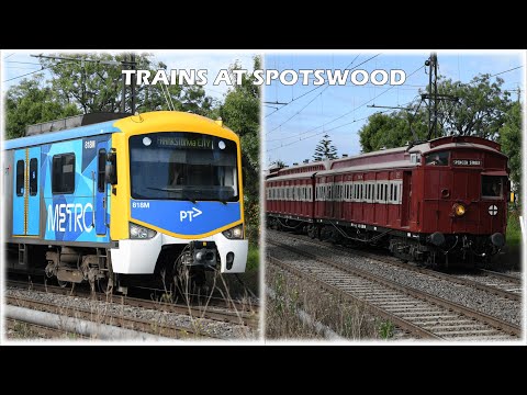 Trains at Spotswood | ft. the Taits & R711