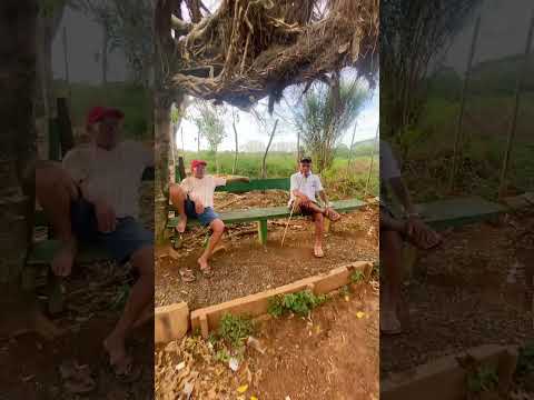 • Los Cedros: Un Tesoro a 12 Minutos de Montería Cordoba Colombia 🇨🇴