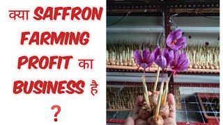 How to do Saffron Farming । Profitable Business 🤔 | @DurgeshProjects