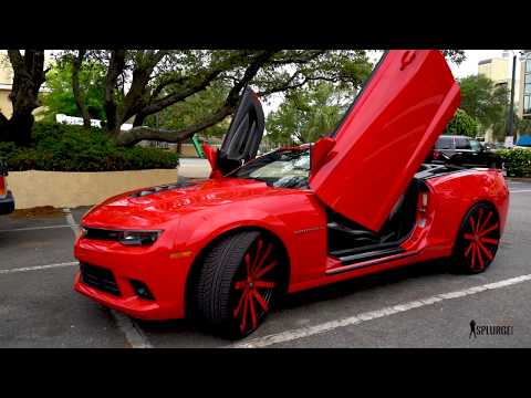 Viggie Versace O.T Fella - Like that  (myrtle  Beach)