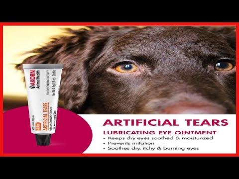Akorn Artificial Tears | Soothes Dry & Irritated Eyes in Cats and Dogs | Veterinary-Approved Eye