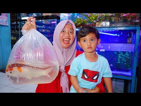 AZAM BUYS BIG KOI FISH 😱 TO FILLE A BIG POND