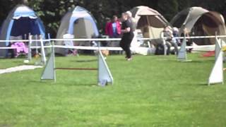 preview picture of video 'Agility-Turnier am 15.06.2013 beim SV OG Essen-Schonnebeck'
