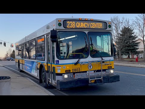 The Beginning of The Reproduction | Yoshi's Ride Series {S8-E01} - Riding the 238 🚌 - {MBTA}