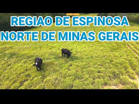 VÔO EXPLORATÓRIO DRONE NEO 2 REGIÃO DE ESPINOSA MINAS GERAIS. 