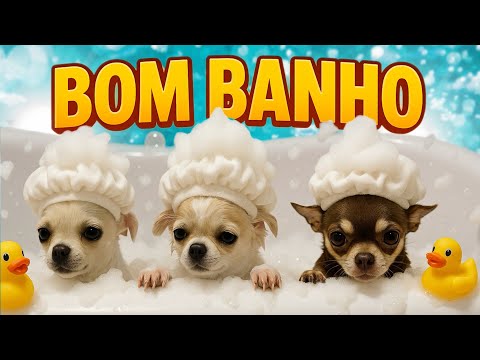 ✨ O PRIMEIRO BANHO DAS GÊMEAS JUNTO COM A IRMÃ POLENTA!