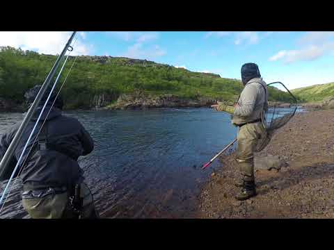 Kharlovka Russland 2017