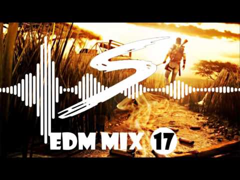 EDM Mix 17