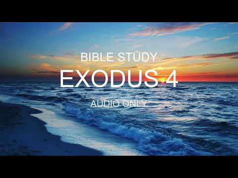 Exodus 4 (Part 2) & 5 Bible Study (Moses Returns to Egypt/Let My People Go) | Pastor Daniel Batarseh