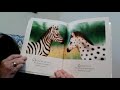 Zink The Zebra