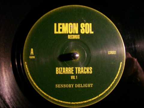 Bizarre Tracks Vol.1 Sensory Delight
