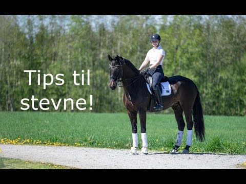 Thea Katarina Bråten vlog14 - Tips til stevne