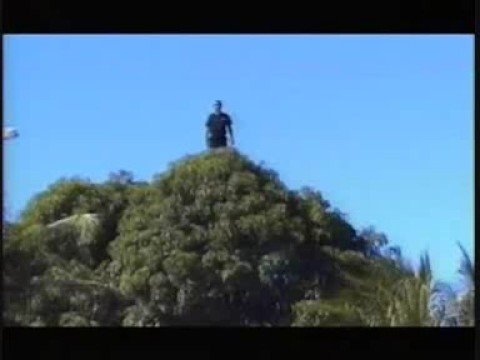 Esquadrao Resgate - 2ª Temporada (Dublado) - PEN-DRIVE INCLUSO