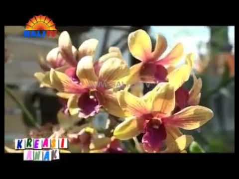 #TAKSU,,, Kreasi Anak Bali TV#