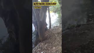 biggest croc in the world seen here northern territory Australia...