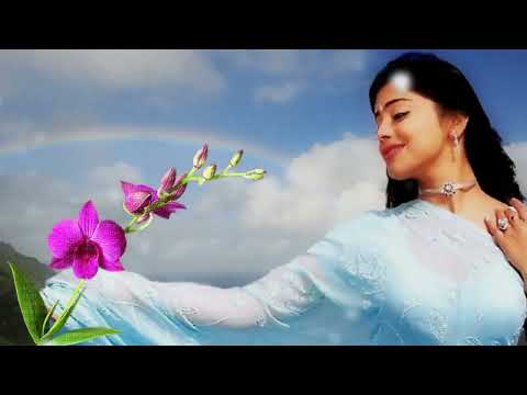 చిరుచిరు నవ్వుల..(Sharing song)