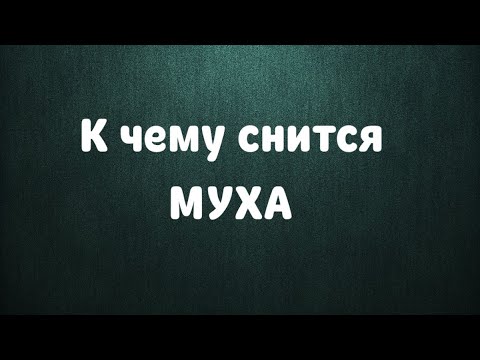 Приснились мухи к чему это. Сонник мухи. Приснилось много мошек. Приснились мухи к чему это. Сонник мухи.