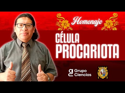 🦠 Célula Procariota | Biología [ Homenaje ]
