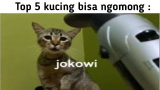 Download lagu Top 5 kucing bisa ngomong. mp3