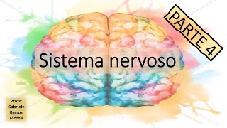 SISTEMA NERVOSO - parte 4 (anatomia veterinária)