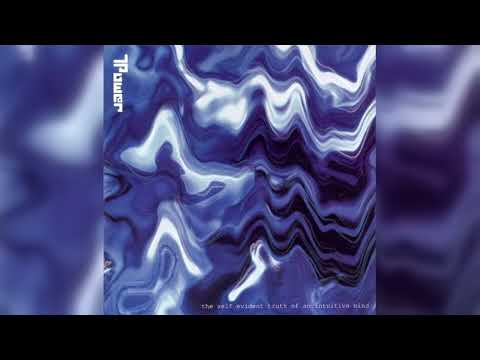 T.Power - The Self Evident Truth Of An Intuitive Mind + Chronology (Ambient, DnB, Jungle) (1995)