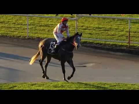 Belmont Park, 15/06/2016 - Race 8 - KENSINGTON ABBEY - Arthur Mortimer & Clinton Porter