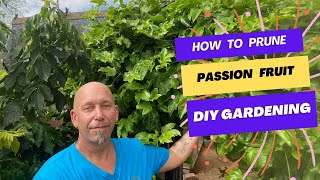 🌱 Passion Fruit Vine Care: Pruning Tips for Beginners 🌿