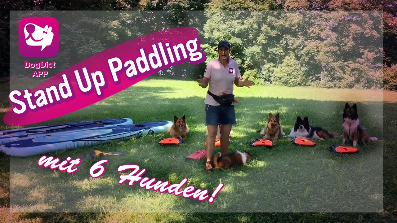 Folge 06: Stand up Paddling mit Hunden