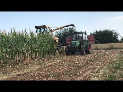 Silaža 2019 - NEW HOLLAND 1905 i FENDT 308 LSA