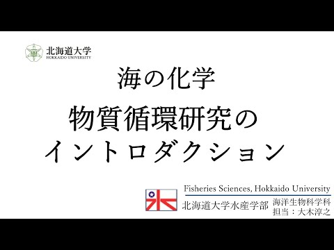 重力場と定常状態の海洋循環エクスプローラーについて詳しく解説