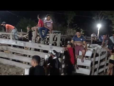 Grande Vaqueijada no parque Pai e Filho, em Areias município de Araioses/ Maranhão 