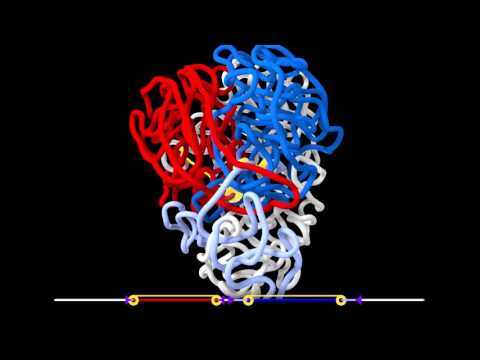 DNA loop extrusion - example simulation