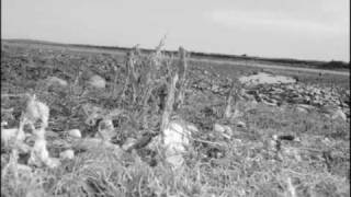 Concept- Wonder by Megan Mc Cauley