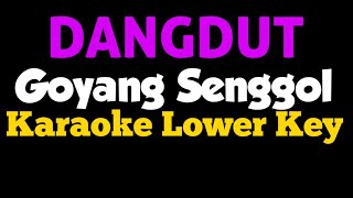 Download lagu Dangdut Goyang Senggol Karaoke Lower Key mp3
