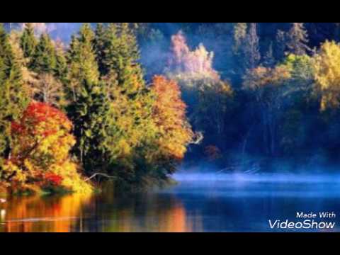 Elisama, A verdade,letra.