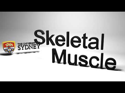 Test of Opening Titles